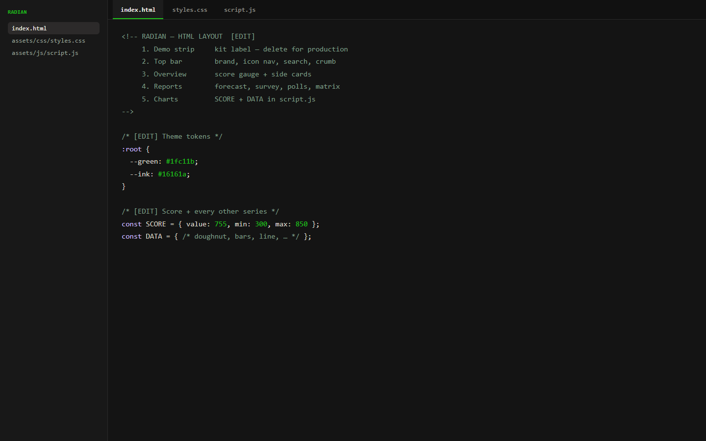 Code editor showing labeled Radian HTML, CSS, and JavaScript sections